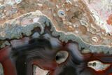 Polished Baker Ranch Thunderegg with Sagenite - New Mexico #145671-2